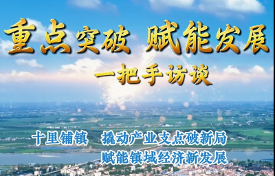 【重点突破 赋能发展·一把手访谈】沙洋县十里铺镇：撬动产业支点破新局 赋能镇域经济新发展