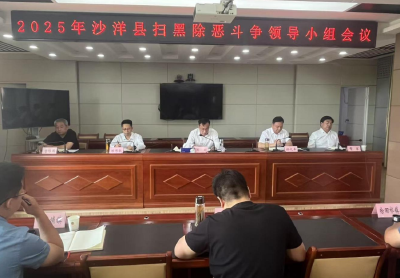 沙洋县召开扫黑除恶斗争专题会议