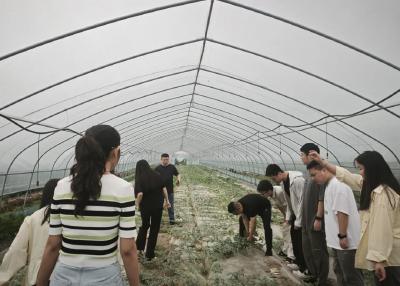 后港镇：田间课堂练本领 助农实践促振兴