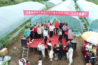 沈集镇郑岗村：“瓜王争霸赛”圆满收官！“小西瓜”解锁乡村振兴甜蜜新图景