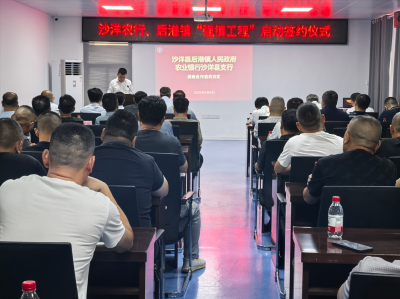农行沙洋县支行与后港镇政府举行“强镇工程”合作签约仪式
