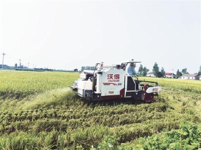 “加了撒肥装置，以后种田更轻松了” ——荆门市联合收割机加装撒肥装置同步作业现场培训会侧记