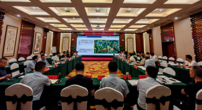 沙洋县交通运输局：以交通先行助推沙洋区域城乡融合发展