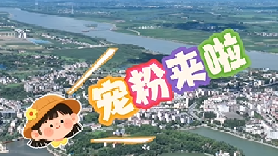 沙洋融媒宠粉啦！关注我们，积极点赞、转发，成为铁粉就有机会获得好礼一份！ 