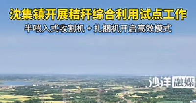沈集镇开展秸秆综合利用试点工作，计划回收长草秸秆2.1万亩