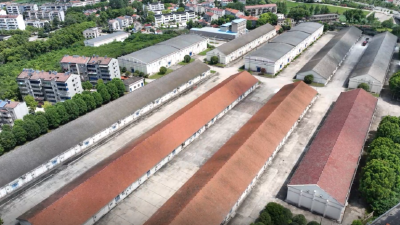 筑牢粮食安全防线  沙洋县国有粮库基础设施维修改造工作有序推进