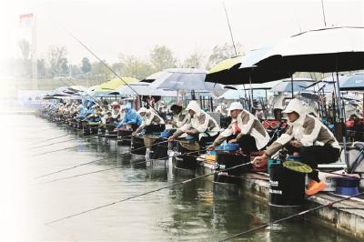 一竿，一漂，一日闲