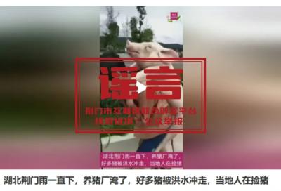 湖北荆门核查养猪场被淹“移花接木”虚假信息