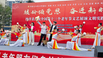 银龄颂党恩   奋进新时代 ——沙洋县开展庆祝全国第十三个老年节文艺展演文明实践活动    