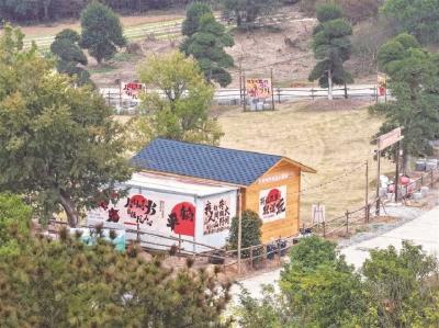 “露营经济” 点亮乡村振兴新图景