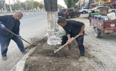 沈集镇“清洁家园百日攻坚”行动：实干扮靓家园    细节暖透民心