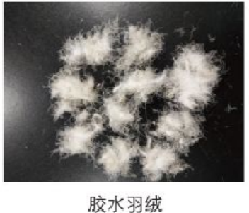 这种羽绒服穿得越久，危害越大！