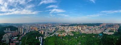 湖北一个地级市，何以诞生6家百亿级企业