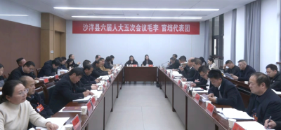 【聚焦两会】县人大代表、政协委员热议《政府工作报告》