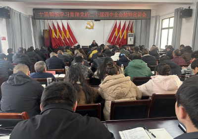【宣讲进行时】十里铺镇召开学习贯彻党的二十届四中全会精神宣讲会