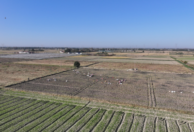 增收有“芨”遇   白芨结出“致富果”