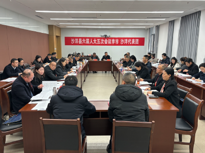 【聚焦两会】李莉丽参加人大代表团审议和政协委员界别分组讨论