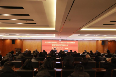 【宣讲进行时】沙洋县法院召开学习贯彻党的二十届四中全会精神宣讲会