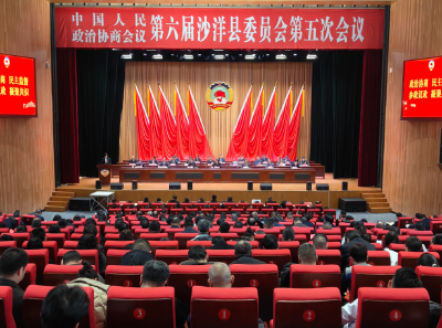 【聚焦两会】政协第六届沙洋县委员会第五次会议举行第二次全体会议
