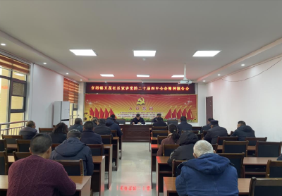 【宣讲进行时】杨先斌深入官垱镇五星社区宣讲党的二十届四中全会精神