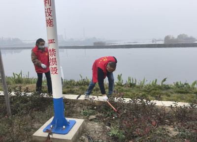 后港镇：志愿“红”点亮集镇“美”