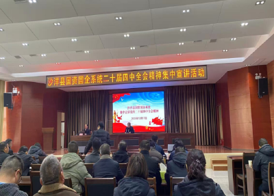 【宣讲进行时】沙洋县国资国企系统举办党的二十届四中全会精神集中宣讲活动