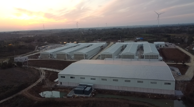 打造蛋鸡产业链条 助力乡村全面振兴