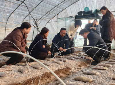 【干部素质提升年】后港镇黎坪村杨维雄：从“空壳村”到“产业村”的振兴之路