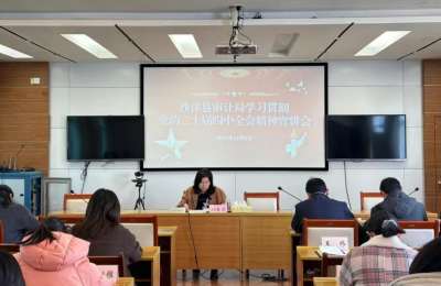 【宣讲进行时】沙洋县审计局召开学习贯彻党的二十届四中全会精神宣讲会