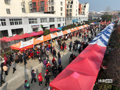 毛李镇年货集 解锁最浓乡村年味