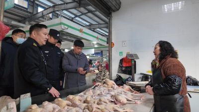 【记者走基层】沙洋：筑牢监管防线 让“菜篮子”拎得更放心 