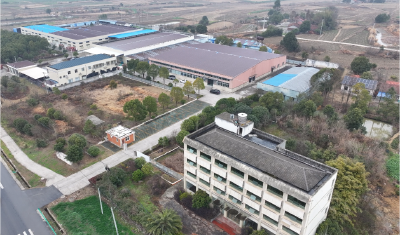 【新春走基层】万家汇食品：匠心传承鱼糕技艺  创新开拓广阔市场