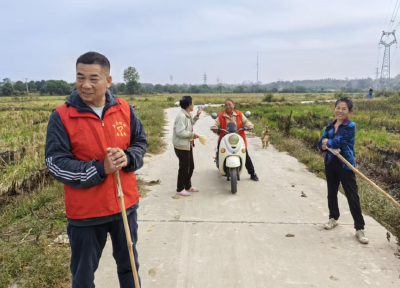 五里铺镇赵集村：“生态星期五”常态化 擦亮乡村生态底色