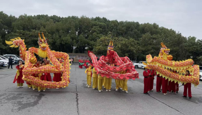 沙洋镇：狮龙跃春闹新春 民俗拜年送福来