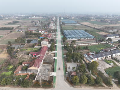 拾回桥镇：双村引领共绘乡村振兴新画卷