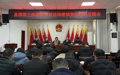 县委第三巡察组巡察拾回桥镇党委情况反馈会在拾回桥镇召开