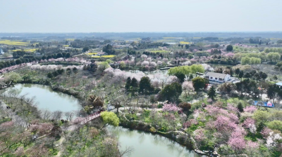 花海探钓 解锁春日渔乐新玩法