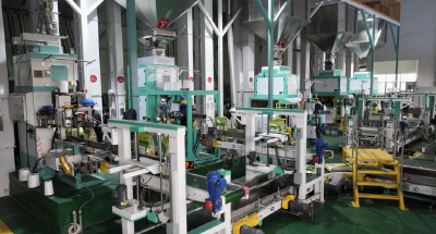 一粒米的“智”变  ——湖北农发洪森米业科技赋能提质增效