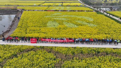 万亩花海赴春约 沙洋骑行展风采