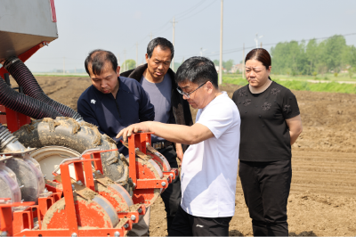 省“515”花生科技服务行动走进沙洋 专家田间把脉指导小籽红衣花生播种