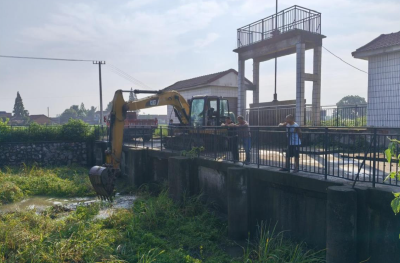 官垱镇：春耕“粮草足” 沃野“焕新颜”