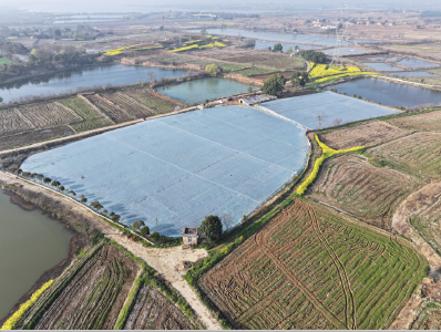 沙洋：一池活水兴产业 生态养殖赋能乡村振兴