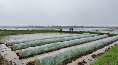 毛李镇：积极应对强降雨  抓实水稻育秧保春耕