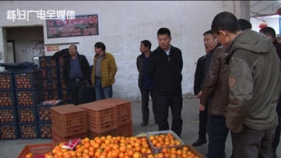 【时政】 黄海：多措并举推动柑橘销售