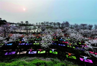 图文：沿江花海醉游人