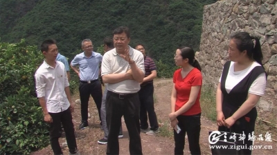 【脱贫攻坚铿锵行】卢辉指导三个深度贫困村脱贫攻坚！