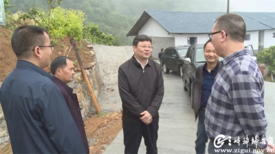 【脱贫攻坚铿锵行】磨坪脱贫攻坚怎么做，卢辉指路！