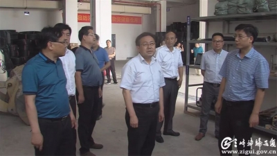 王国斌对秭归防汛抗旱提出五个”高标准落实“