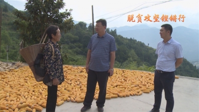 【脱贫攻坚铿锵行】卢辉赴部分乡镇明察暗访脱贫攻坚 持续深入开展“四大一攻”  千方百计提高满意度和认可度