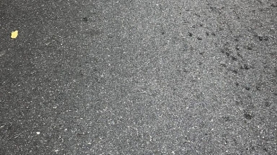 杨勇为芝茅公路建设专题办公